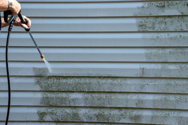 Trusted Balm, FL Siding Experts